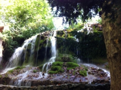 Cascade.jpg