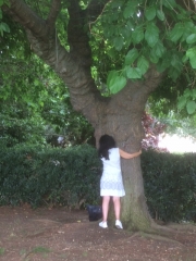 Embrasse l'arbre.JPG