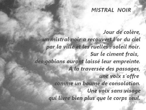 Mistral noir.jpg