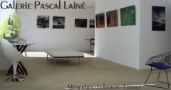 blog galerie Pascal Lainé.jpg