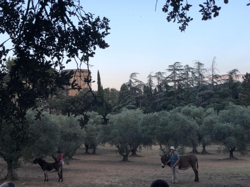 Les deux ânes et le château.jpg
