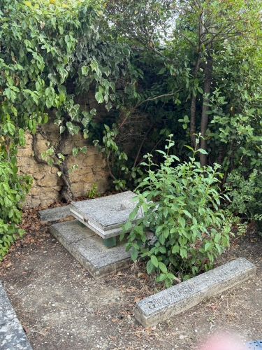 TOMBE CGGR .jpeg