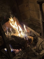 FEU DANS L'ÂTRE MG_7608.jpeg