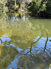 BASSIN DE VÉNUS PASTRÉ.jpeg