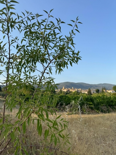 Lourmarin vu de loin.jpeg