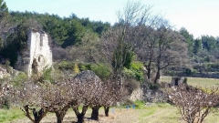 Terroir par Elena Berti.jpg