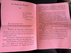 LA FUITE EN TRENET 2.jpeg