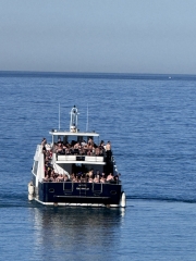 Navette des Monte Cristo.jpeg