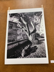 UNE PHOTO 61a21e43-a4f0-41e4-a07b-a12c8e78b93d.jpg